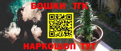 хмурый Гатчина